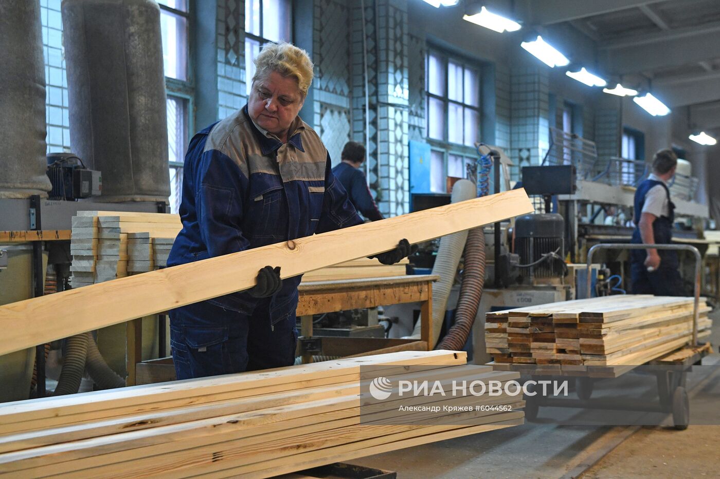 Лесозаготовительные работы в Новосибирской области