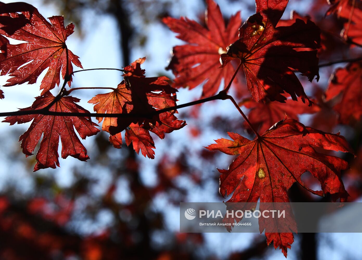 Осень в Приморье