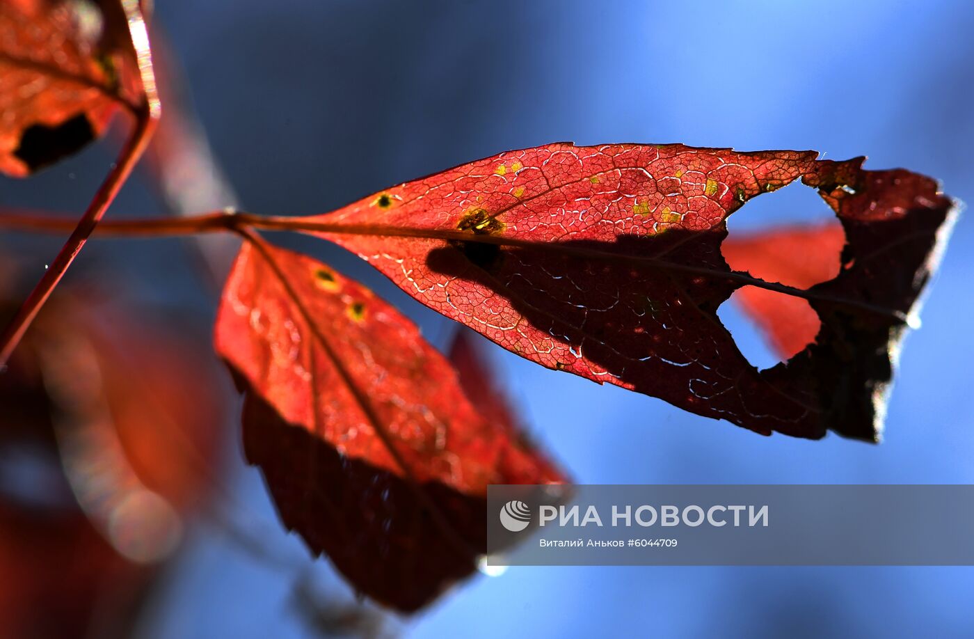 Осень в Приморье