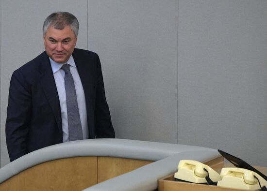 Пленарное заседание Госдумы РФ 