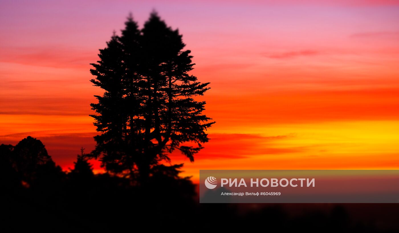 Страны мира. Португалия