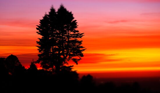 Страны мира. Португалия