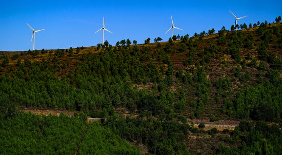 Страны мира. Португалия