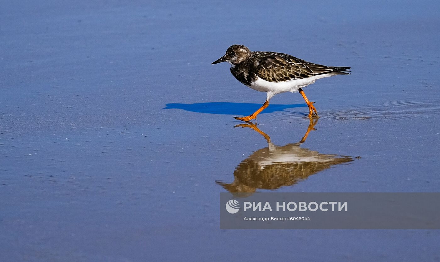 Страны мира. Португалия