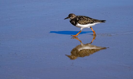 Страны мира. Португалия