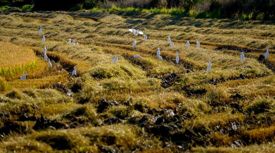 Страны мира. Португалия