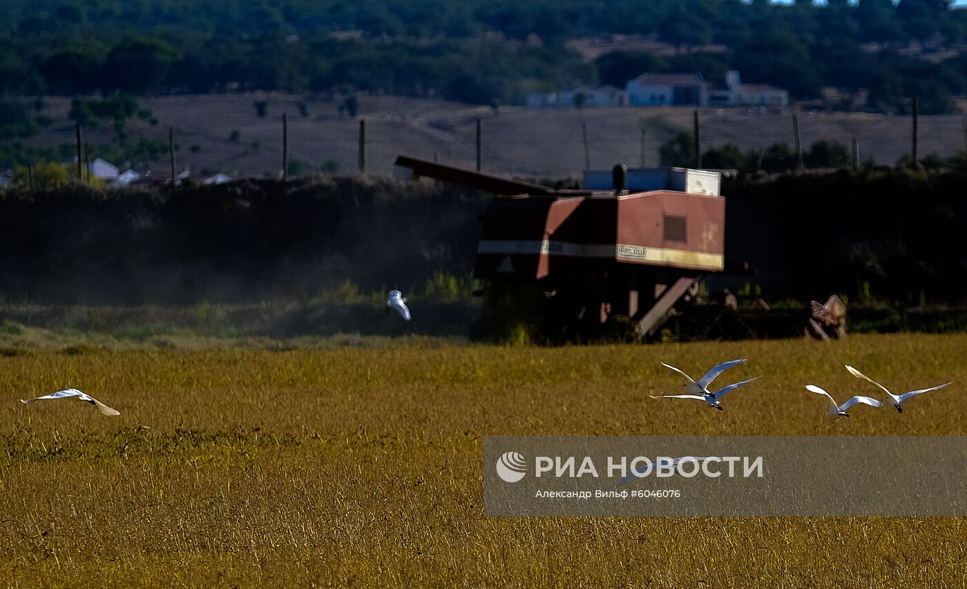 Страны мира. Португалия