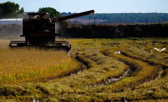 Страны мира. Португалия