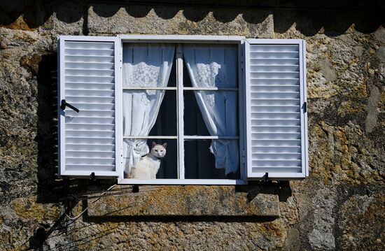 Страны мира. Португалия