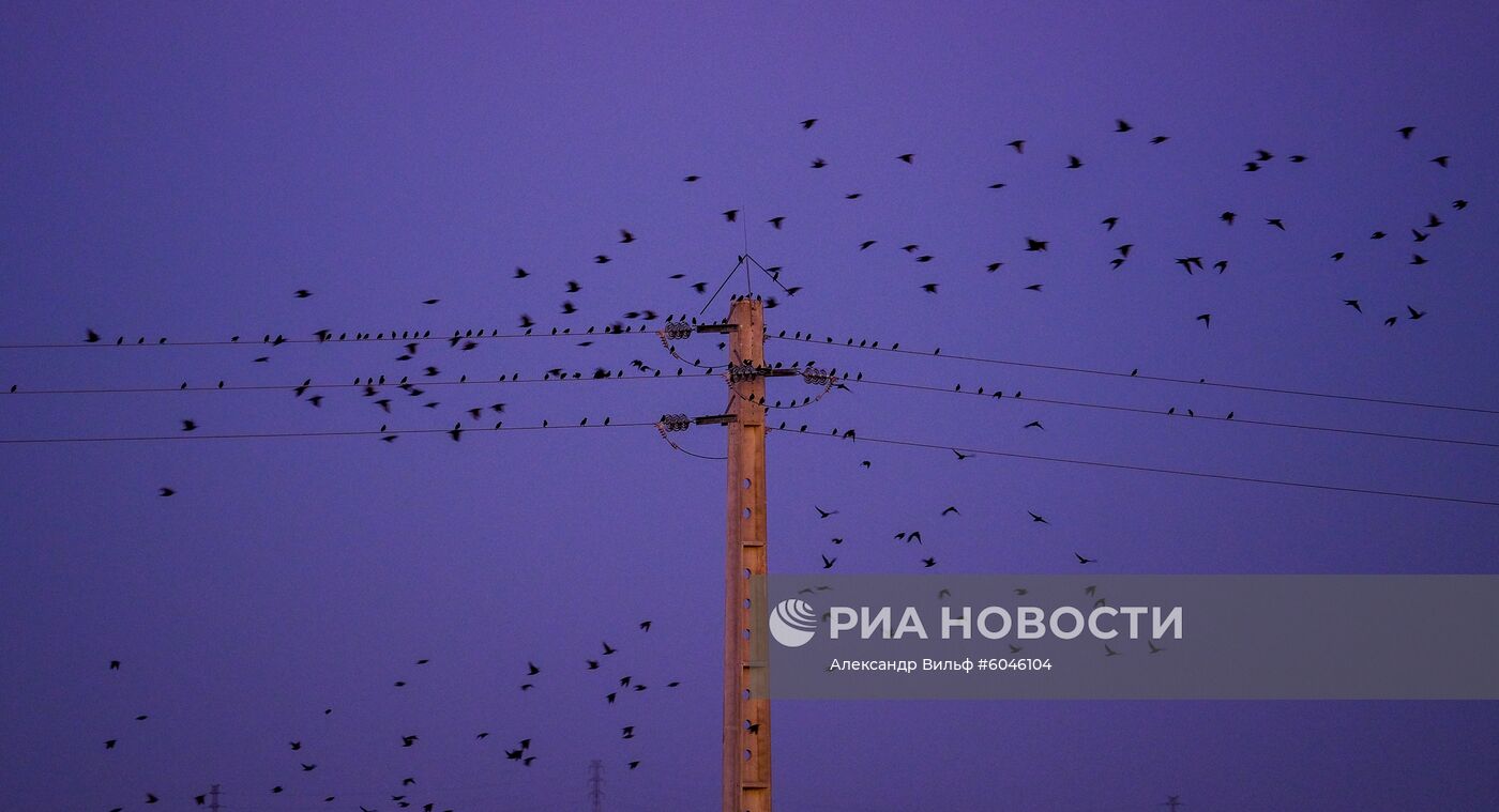 Страны мира. Португалия