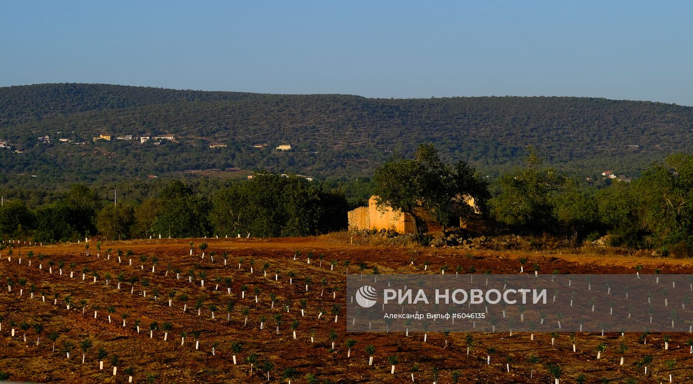 Страны мира. Португалия
