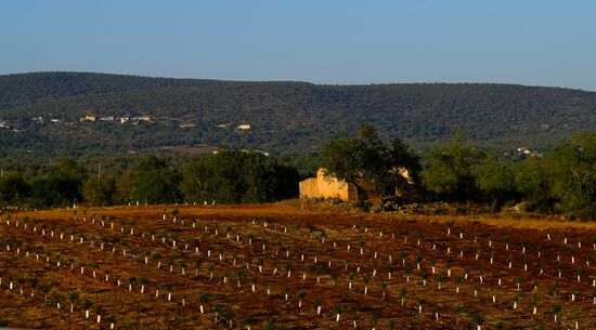 Страны мира. Португалия