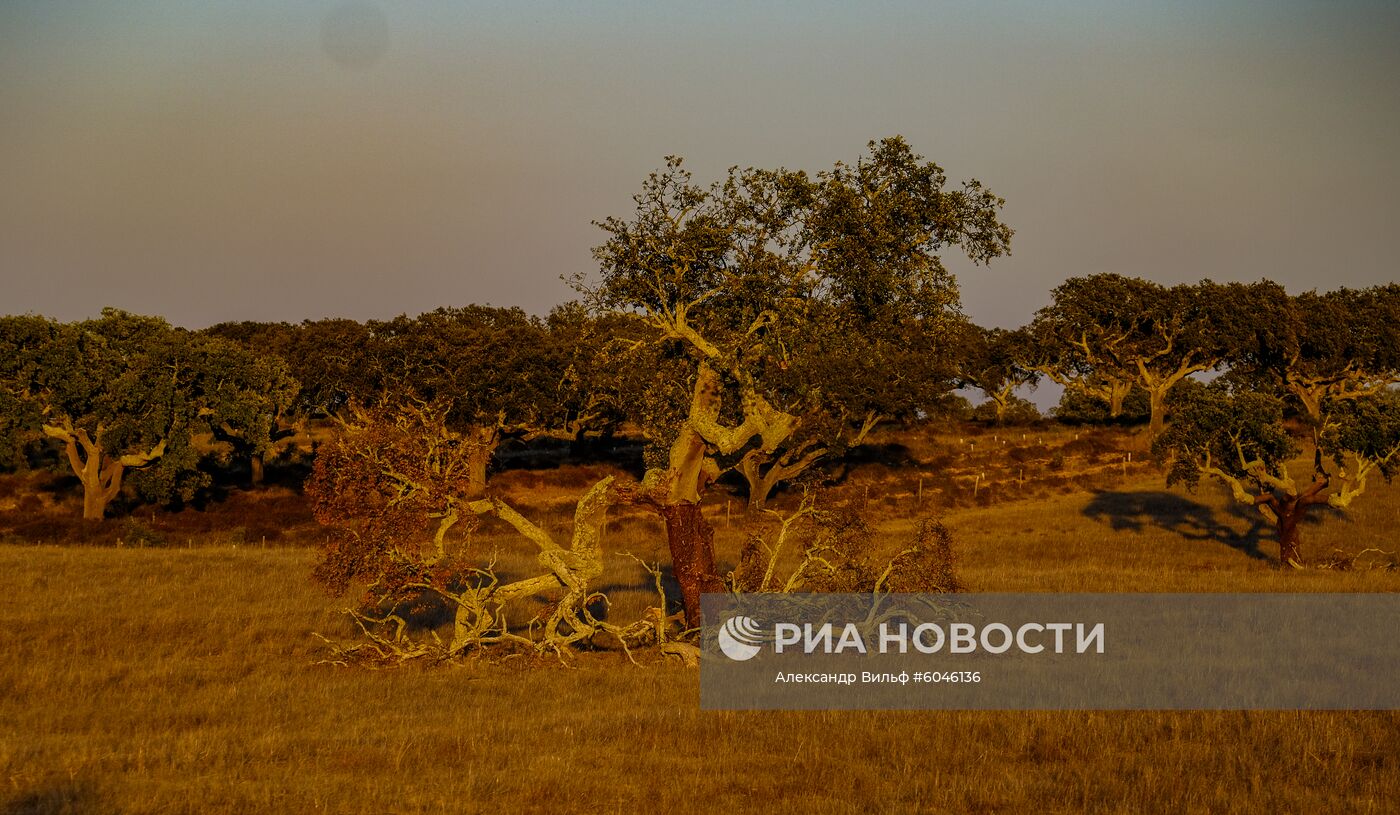 Страны мира. Португалия