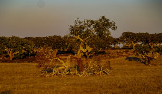 Страны мира. Португалия