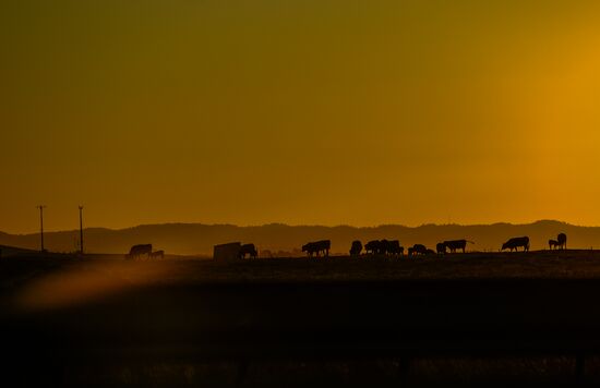 Страны мира. Португалия