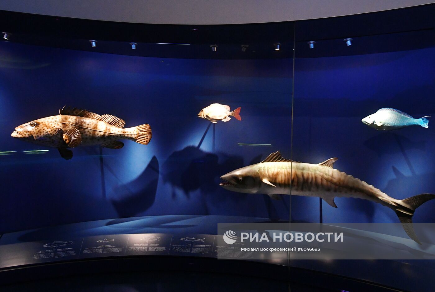 Центр мировой культуры имени короля Абдулазиза в Саудовской Аравии