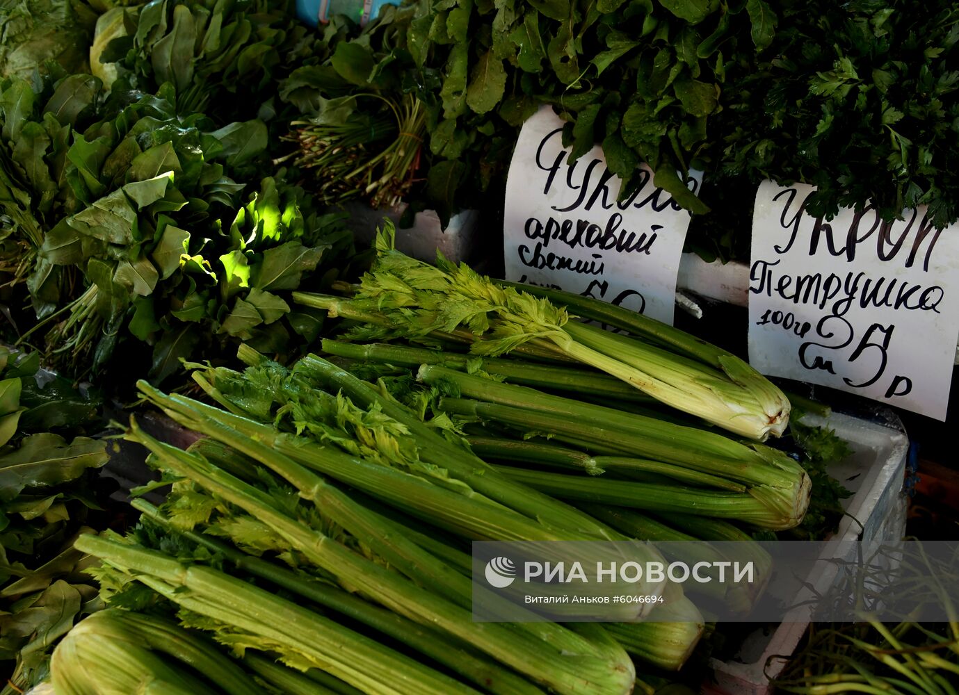 Продовольственная ярмарка во Владивостоке 