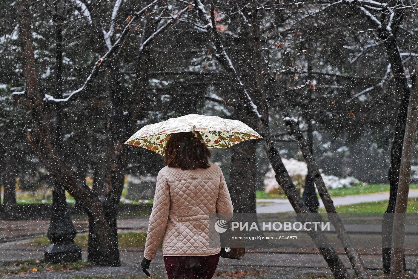 Первый снег в Новосибирске