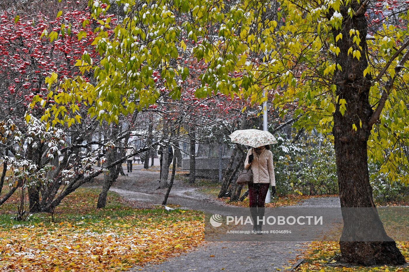 Первый снег в Новосибирске