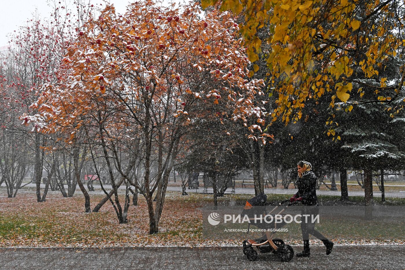 Первый снег в Новосибирске