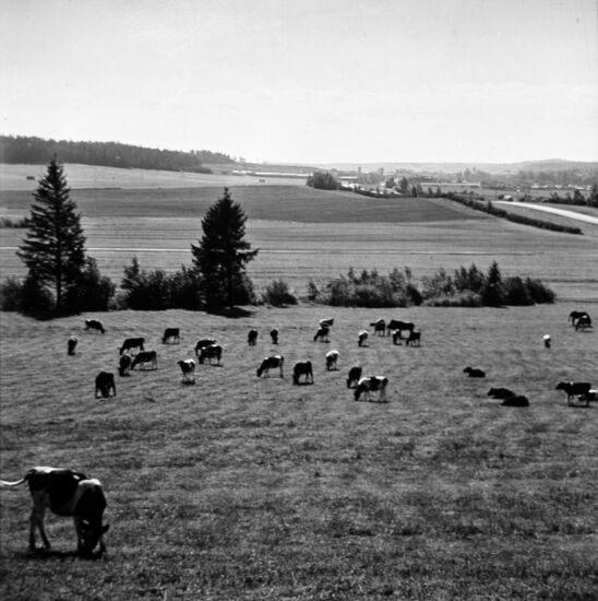 Село Достоево в Белоруссии