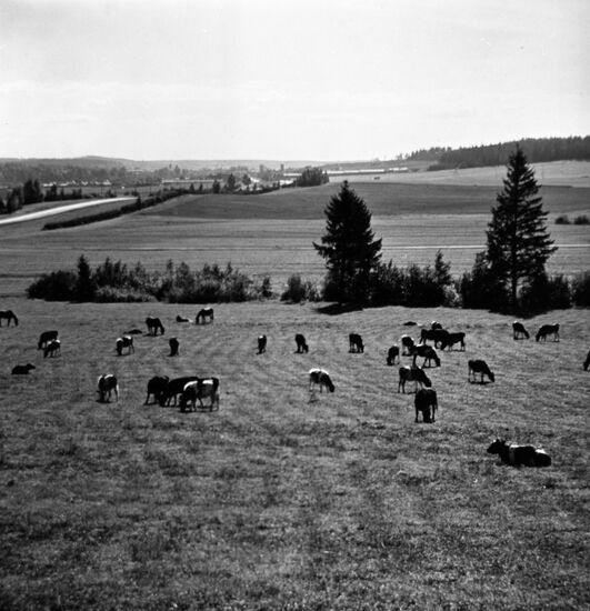 Село Достоево в Белоруссии