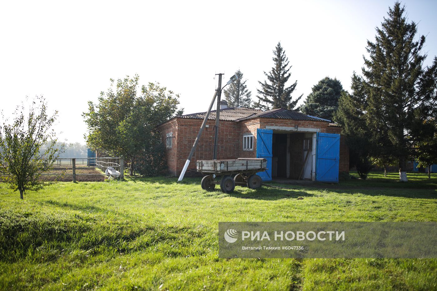 Конный завод "Восход" в Краснодарском крае