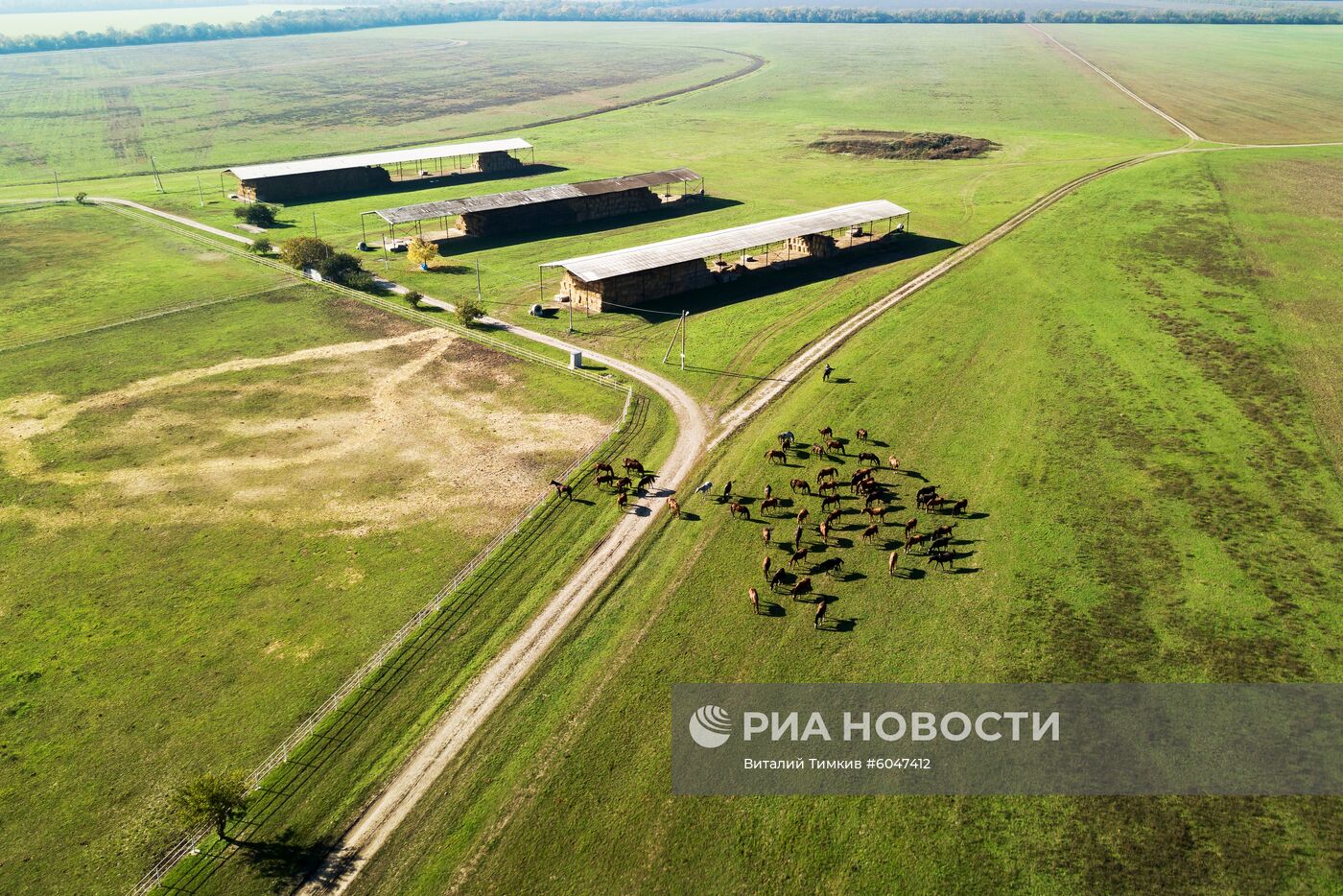 Конный завод "Восход" в Краснодарском крае