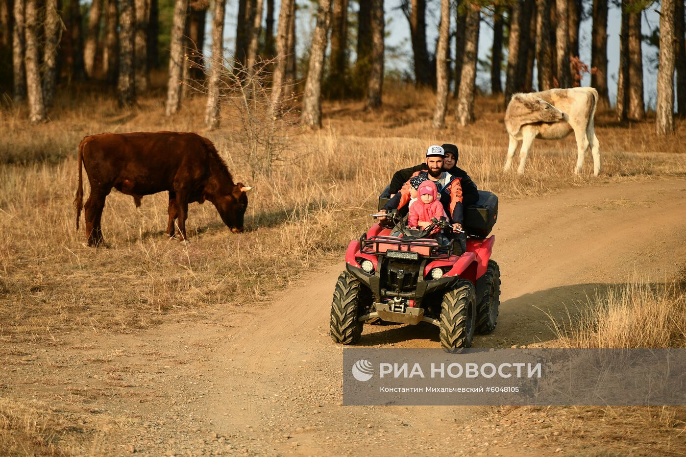 Осень в Крыму