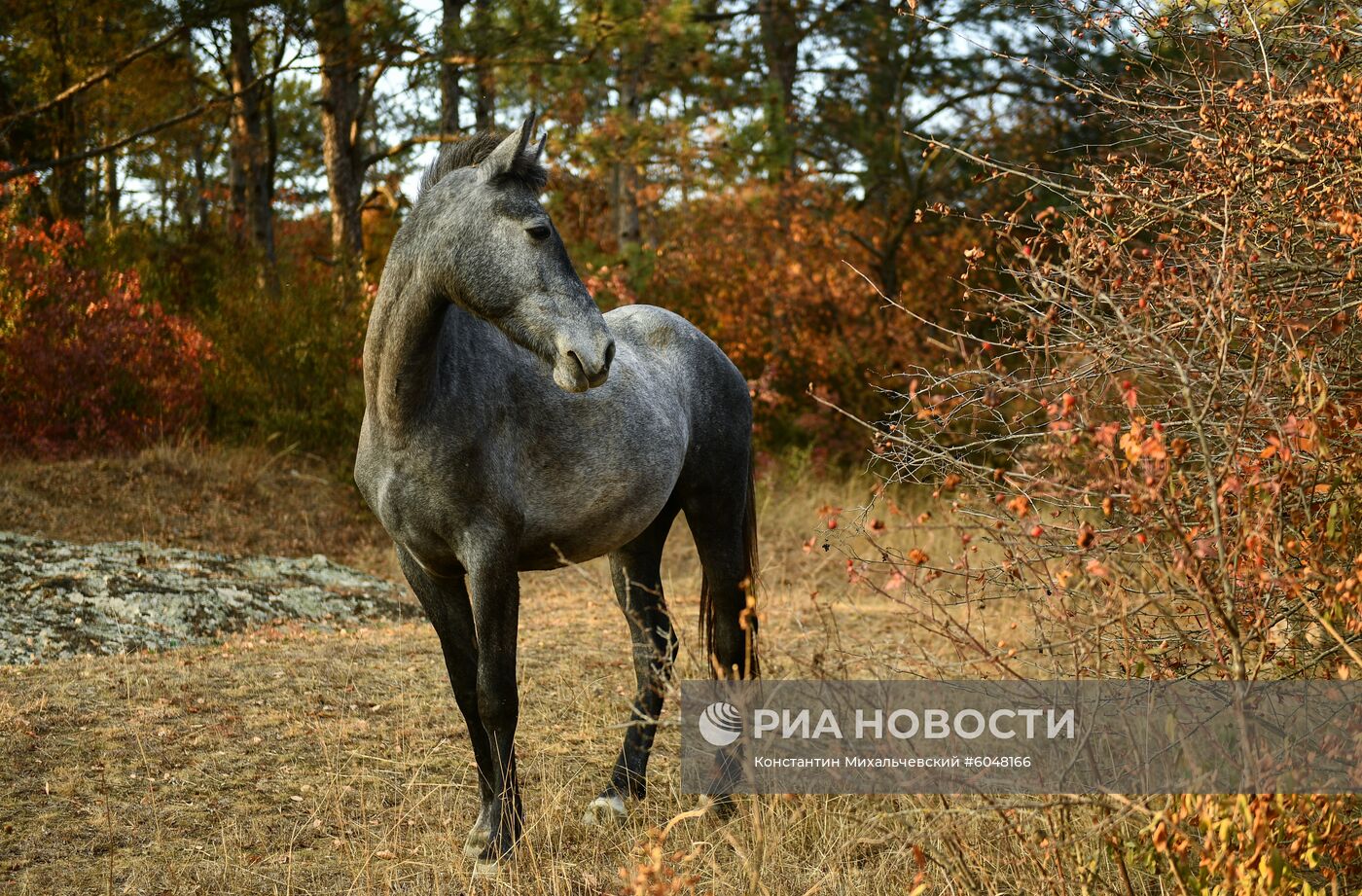 Осень в Крыму