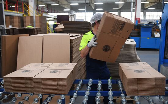 Производство гофрокартона на ОАО "ПЭФ "Союз"