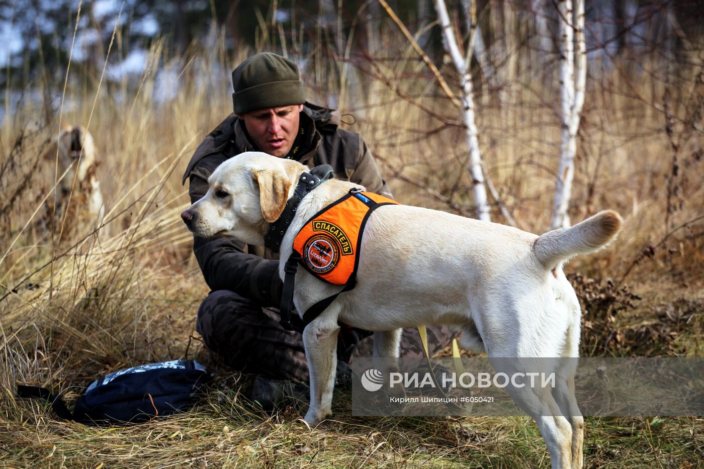 Соревнования кинологов поисково-спасательного отряда "Лиза Алерт"