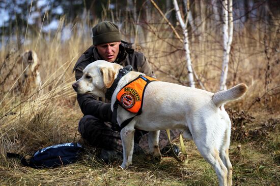 Соревнования кинологов поисково-спасательного отряда "Лиза Алерт"