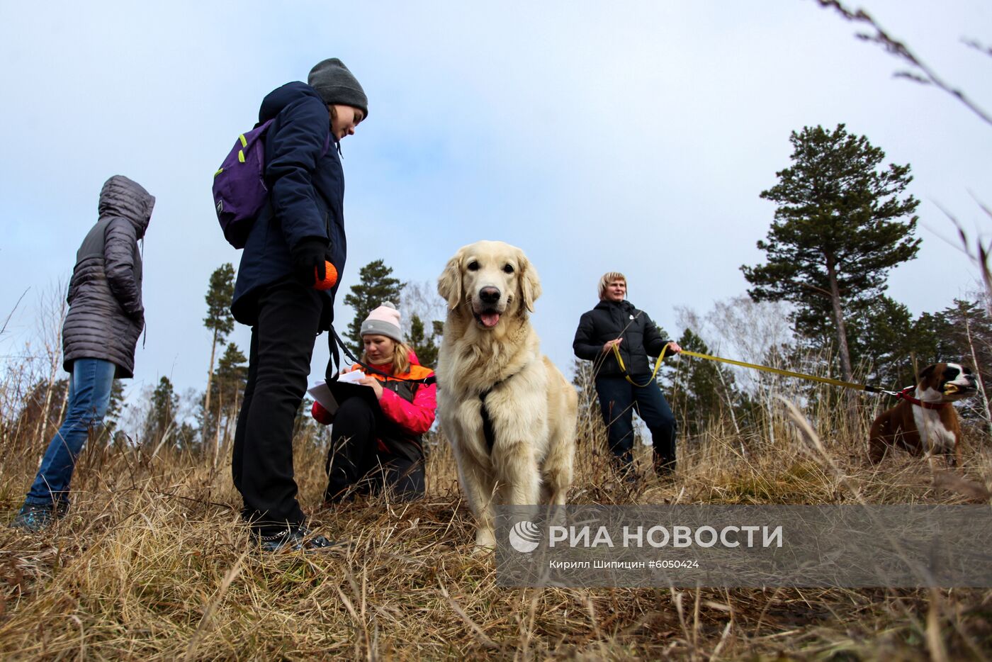 Соревнования кинологов поисково-спасательного отряда "Лиза Алерт"