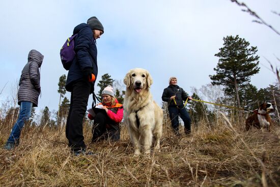 Соревнования кинологов поисково-спасательного отряда "Лиза Алерт"