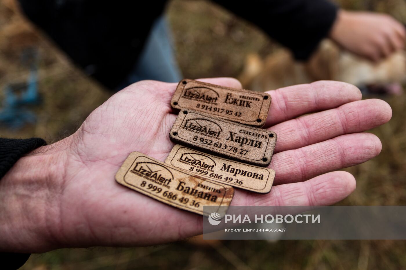 Соревнования кинологов поисково-спасательного отряда "Лиза Алерт"