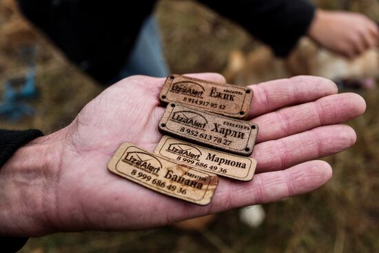 Соревнования кинологов поисково-спасательного отряда "Лиза Алерт"