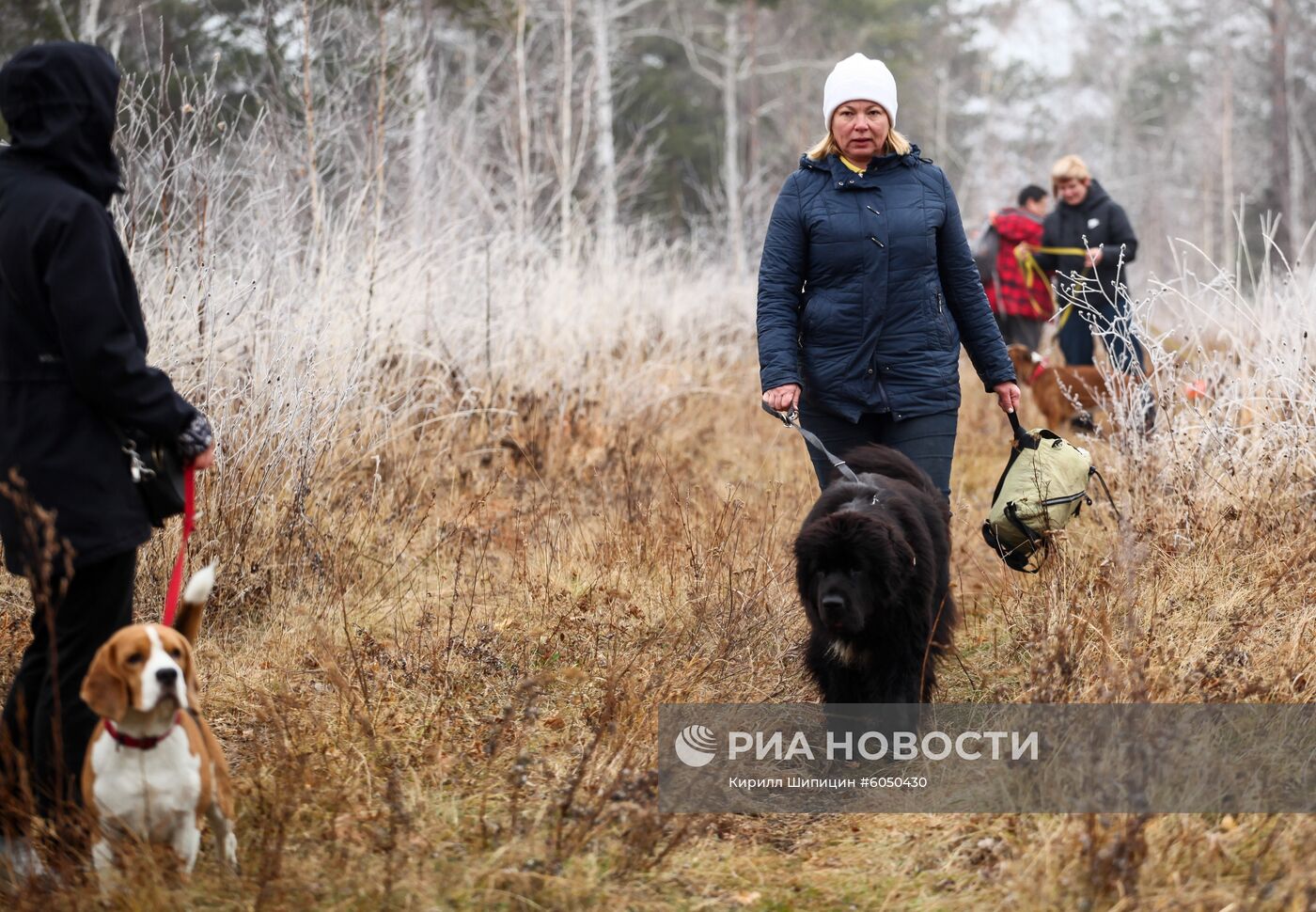 Соревнования кинологов поисково-спасательного отряда "Лиза Алерт"