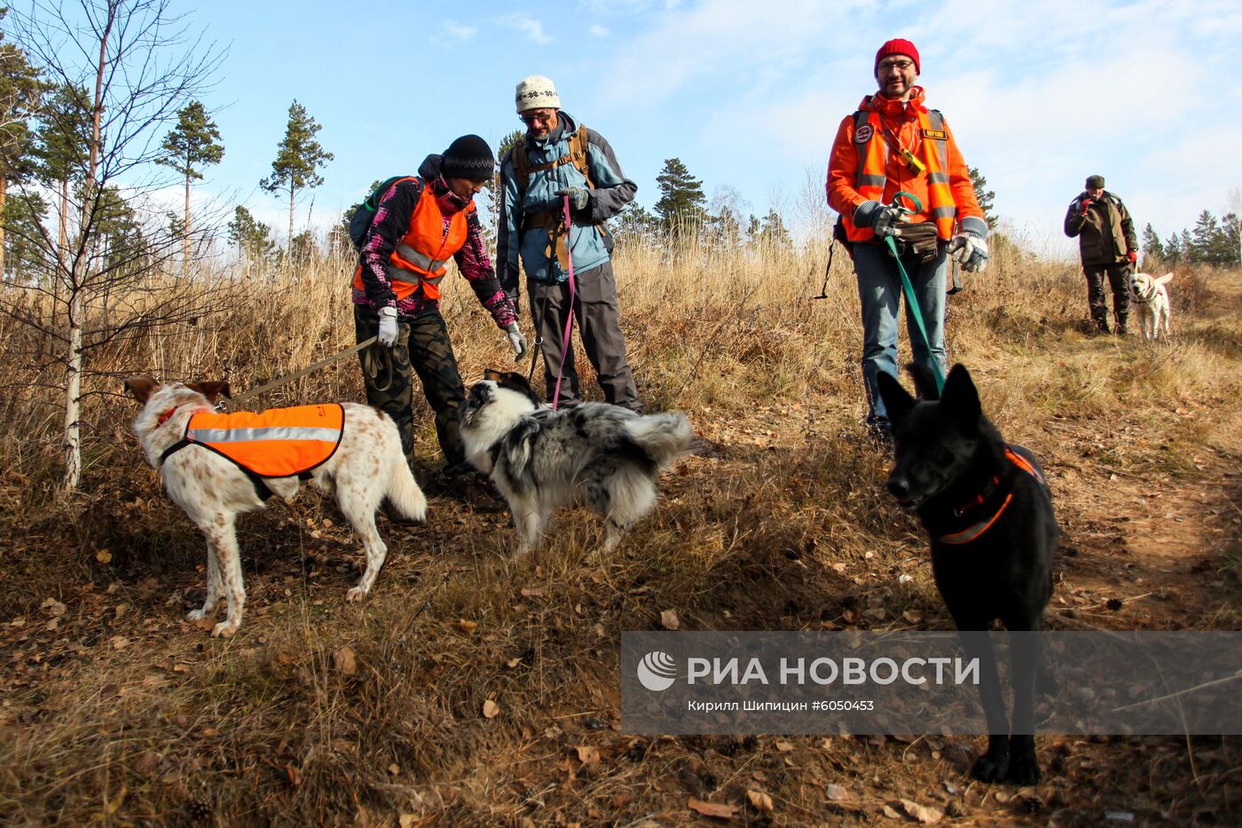Соревнования кинологов поисково-спасательного отряда "Лиза Алерт"