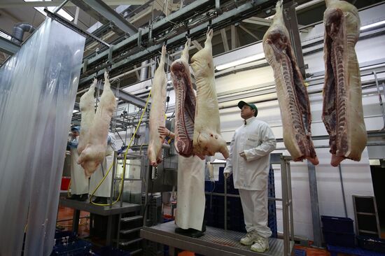 Мясоперерабатывающий комбинат "Южный" в Краснодарском крае