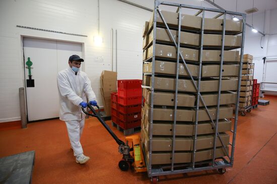 Мясоперерабатывающий комбинат "Южный" в Краснодарском крае