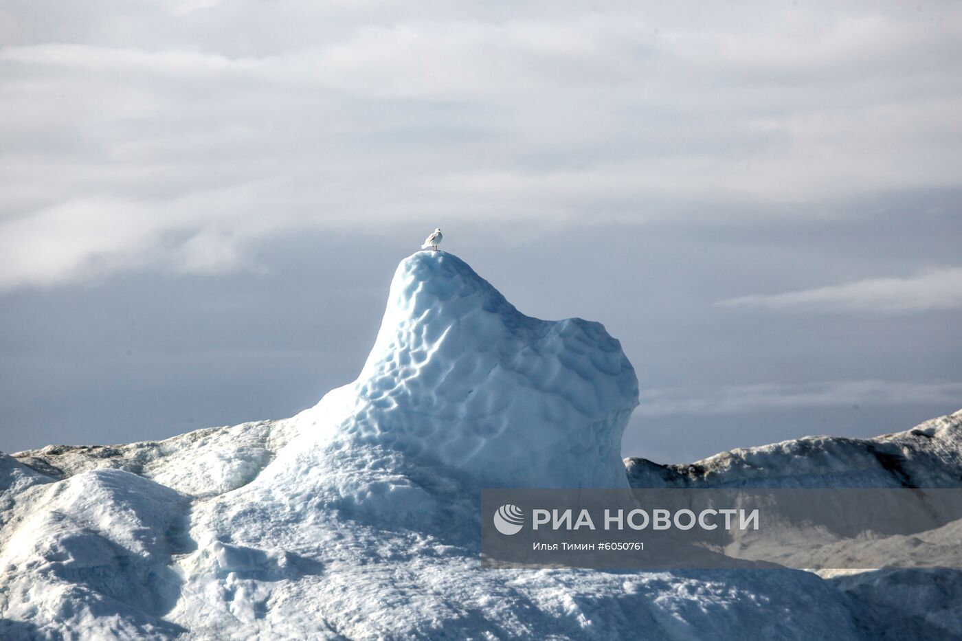 Остров Гренландия