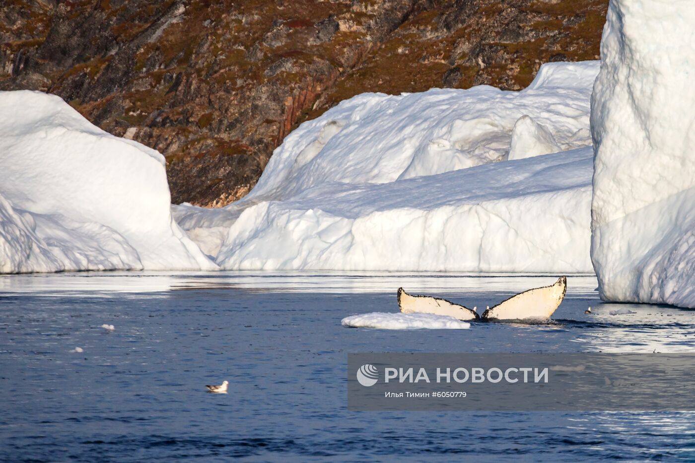 Остров Гренландия