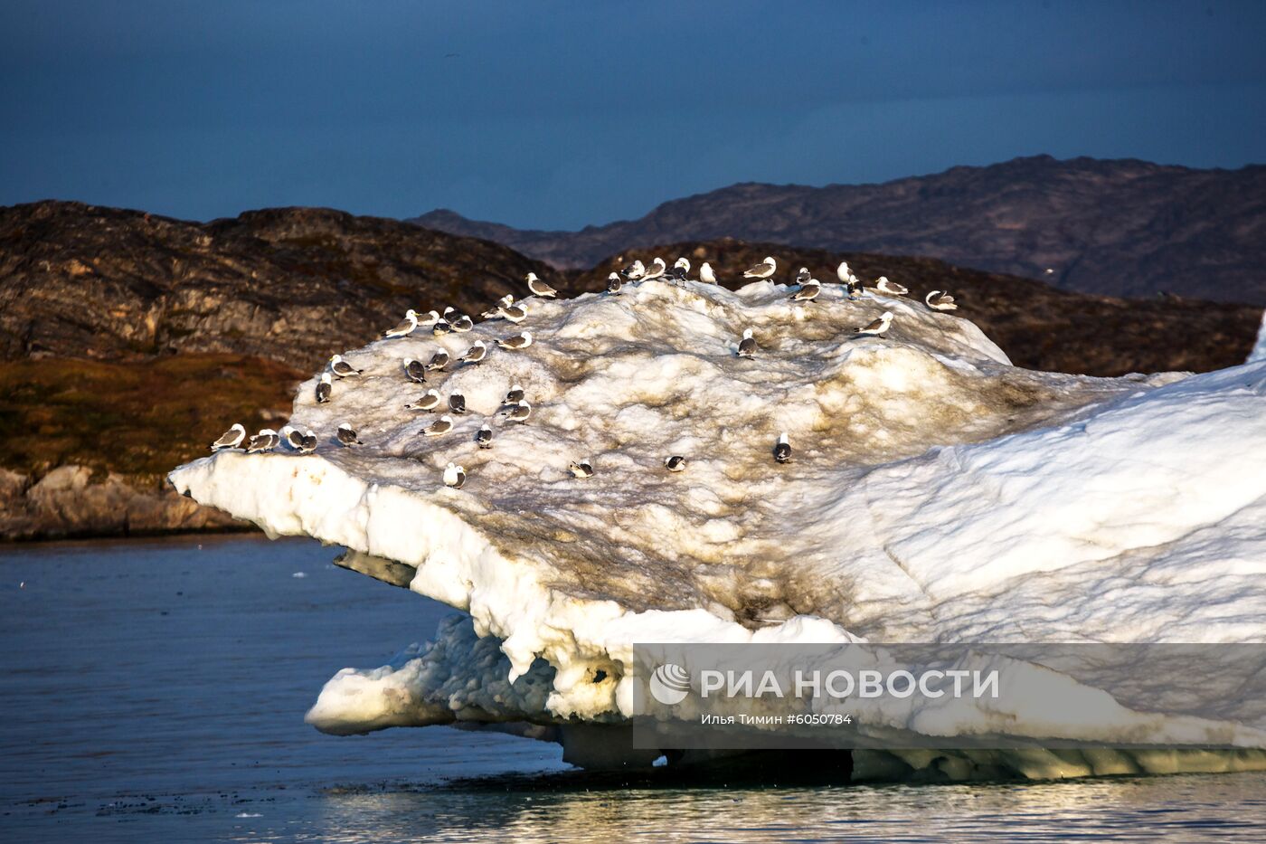 Остров Гренландия