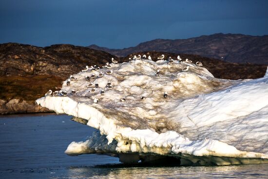 Остров Гренландия
