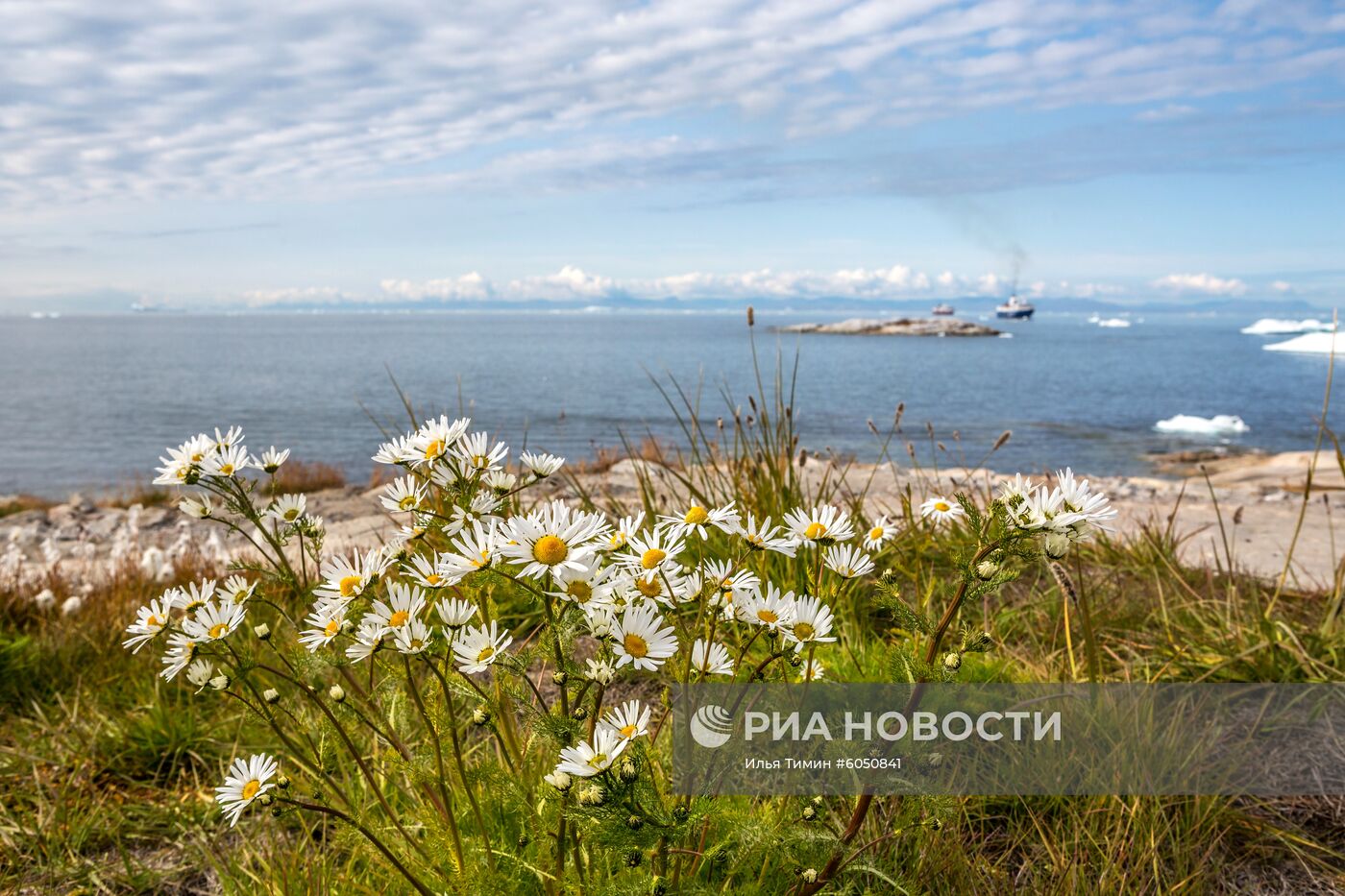 Остров Гренландия