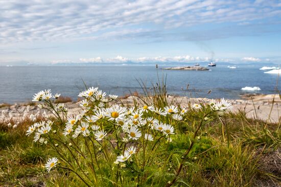 Остров Гренландия