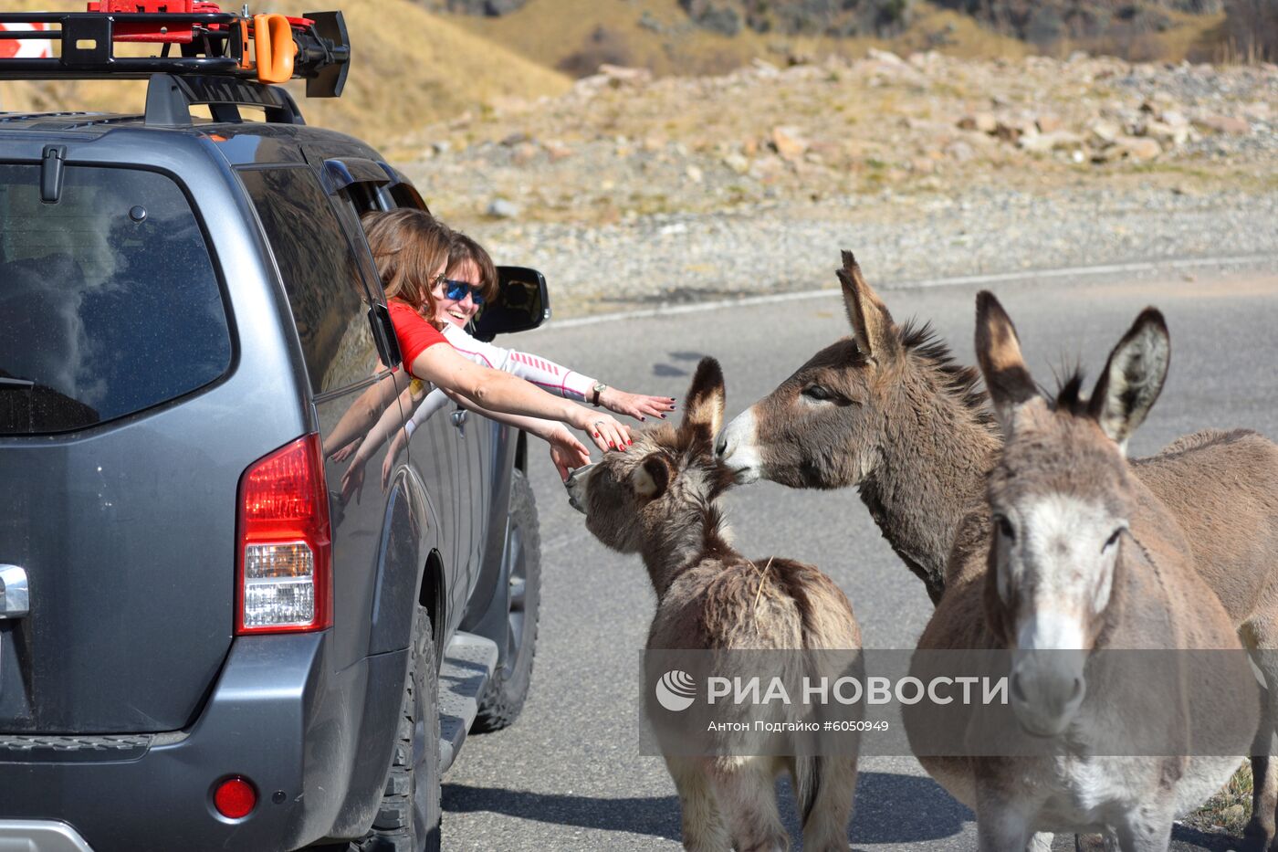 Регионы России. Кабардино-Балкария