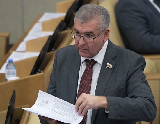 Пленарное заседание Госдумы РФ