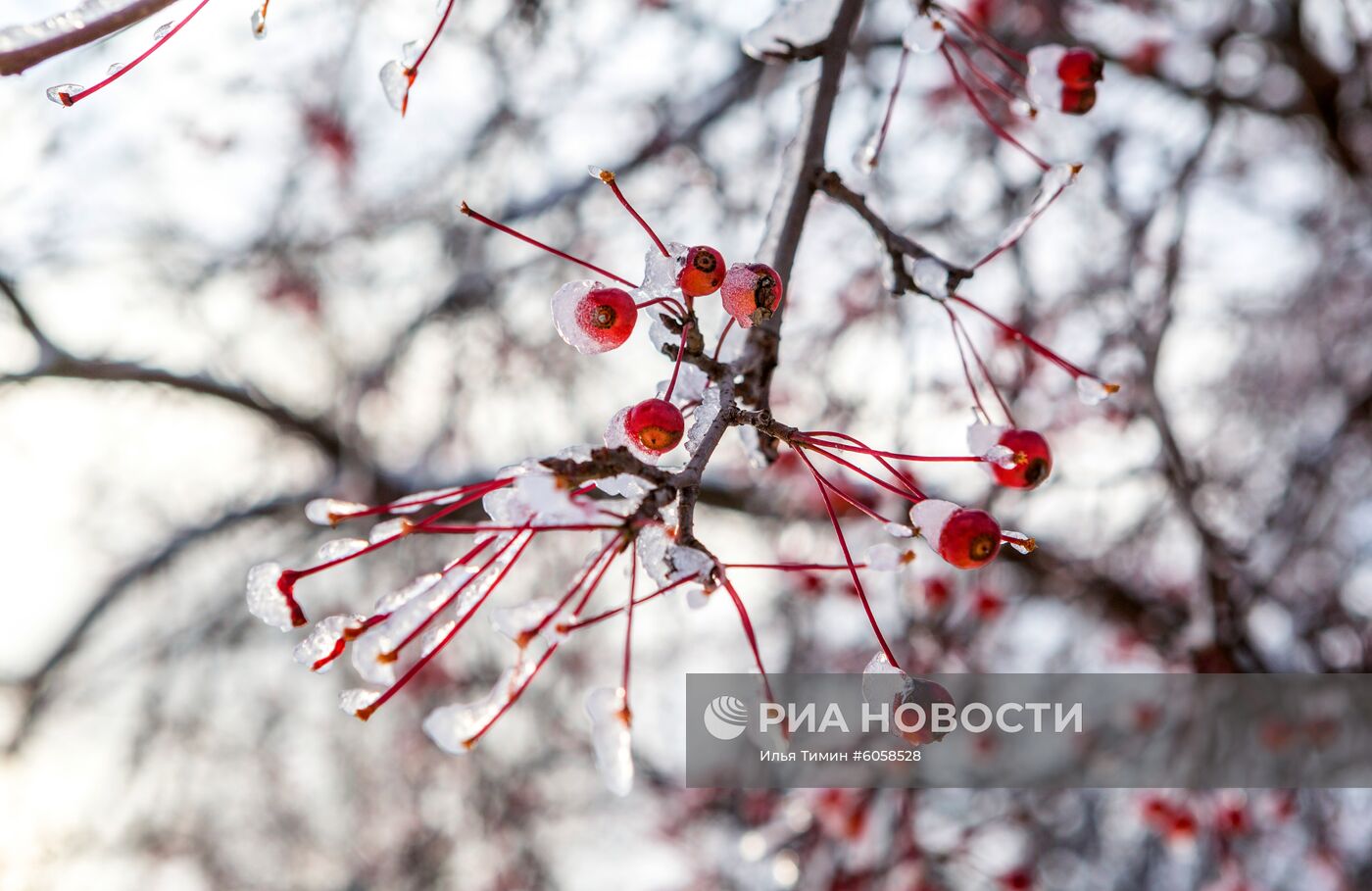 Снегопад в Петрозаводске